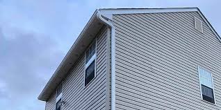 Best Historical Building Siding Restoration  in Stanton, TX